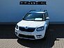 SKODA Yeti Drive 1.4 TSI DSG AHK NAV