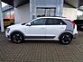 Kia Niro EV Inspiration WP DW TEC REX SD Grau