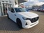 Mazda CX-60 e-SKYACTIV-D 254 Homura, alle Pakete+Pano