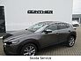 Mazda CX-30 CX30 Skyactiv 2,0 150PS Selection alle Pakete