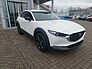 Mazda CX-30 2.5L e-SKYACTIV G 140ps Homura, sofort