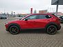 Mazda CX-30 2.5L e-SKYACTIV G 140ps Homura, sofort