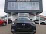 Mazda CX-60 3.3L e-SKYACTIV D 254ps Homura Plus, sofor