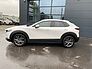 Mazda CX-30 Exclusive-line DASO DESI 186 Metallic